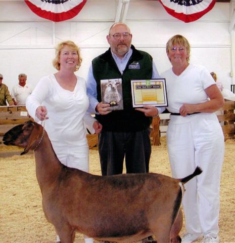 Fryeburg_Fair_Best_In_Show.JPG